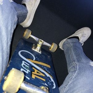 Meet your Posher, Hector